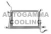 AUTOGAMMA 107493 Radiator, engine cooling